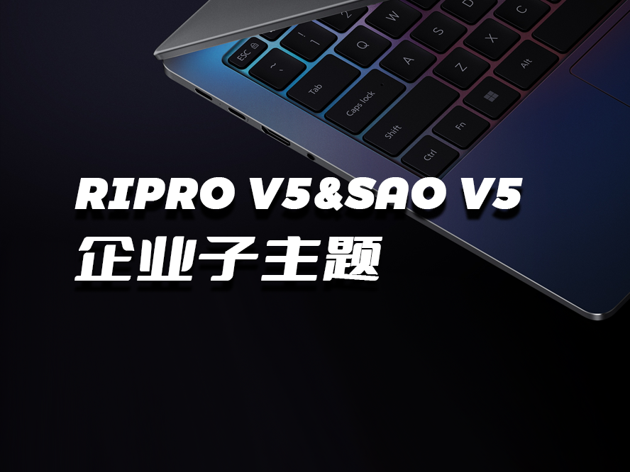 SAO-V5企业子主题Riprov5子主题企业主题