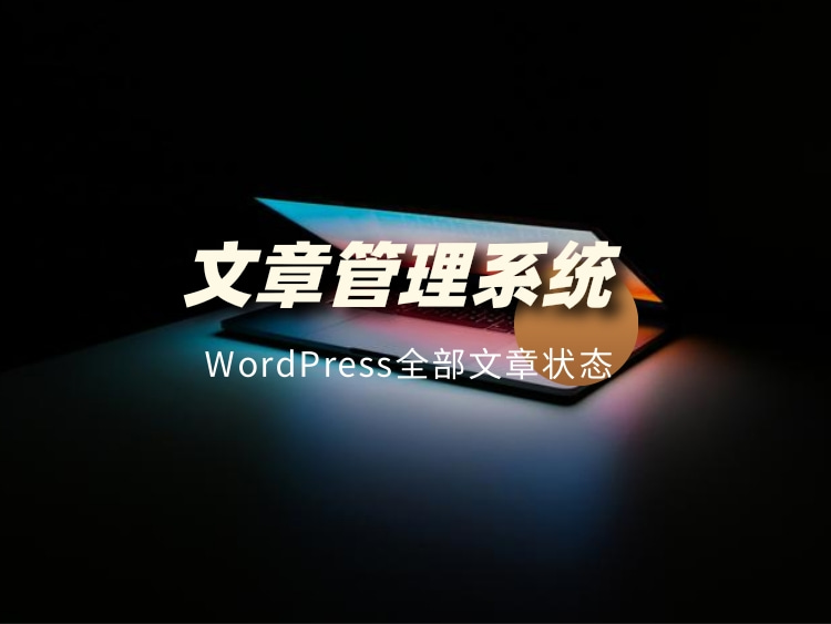 我真的服了最骚文章状态WordPress插件好用的一比