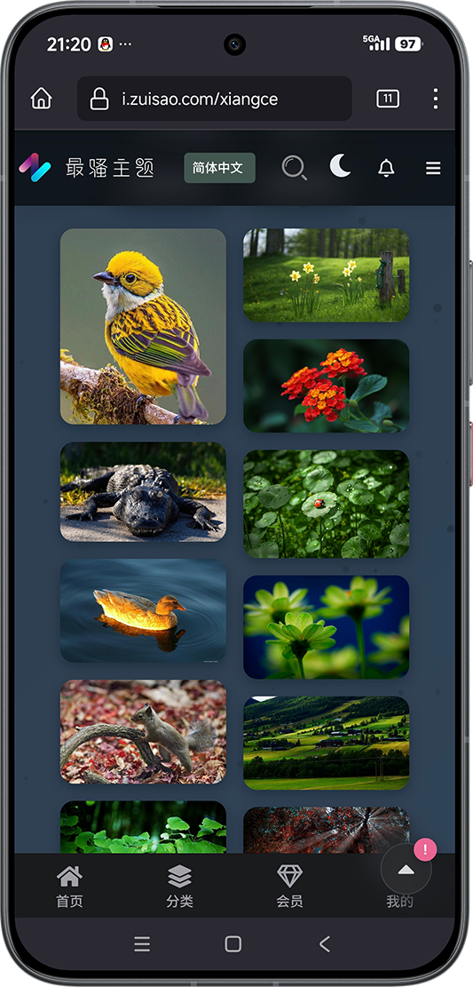 骚主题个人版 - 副图