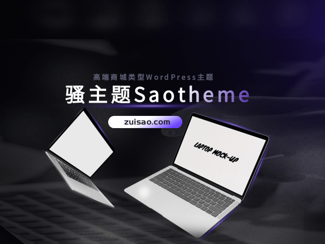 骚主题独立版SaoTheme独立版主题1.1版本